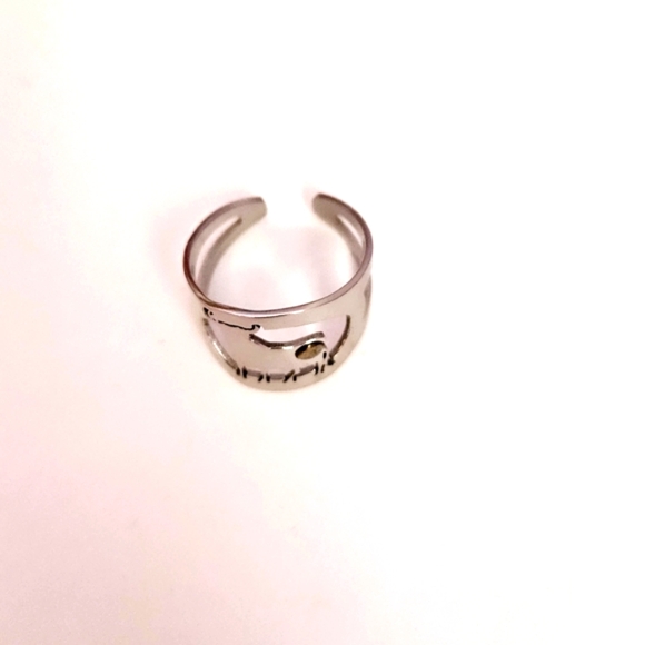 Bull ring - Picture 2 of 3